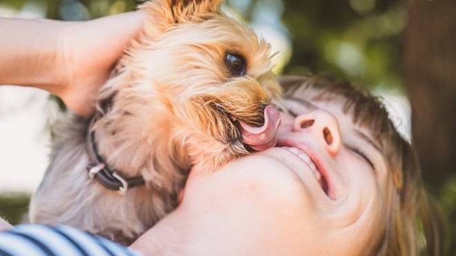Βόλτα: Είναι άδικο για τον σκύλο, η αμέλεια μας για τις ακαθαρσίες του να τον καθιστά ανεπιθύμητο