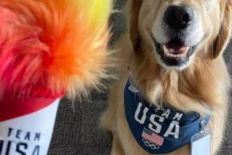 Ολυμπιακοί Αγώνες 2024 - Σκύλοι θεραπείας: Η Pet therapy πήρε χρυσό μετάλλιο