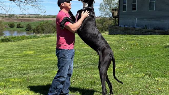 Αυτός είναι ο Κέβιν, ο πιο ψηλός σκύλος στον κόσμο