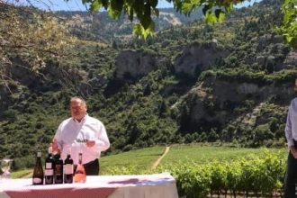 Αρώματα και γεύσεις της Αιγιάλειας στους αμπελώνες του «Μεγάλου Σπηλαίου»