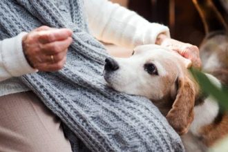 Η επαφή με τα κατοικίδια ζώα μειώνει το άγχος και ωφελεί την υγεία