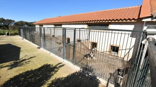 Καταφύγιο αδέσποτων στο Δρέπανο: Οι ώρες επίσκεψης των πολιτών