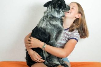 Πώς οι σκύλοι κατανοούν τους ανθρώπους