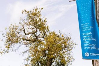 Το 2ο Φεστιβάλ Πριμαρόλια στο Αίγιο