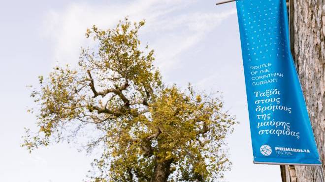 Το 2ο Φεστιβάλ Πριμαρόλια στο Αίγιο