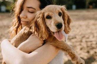Ζέστη: Πώς θα προφυλάξετε το κατοικίδιό σας