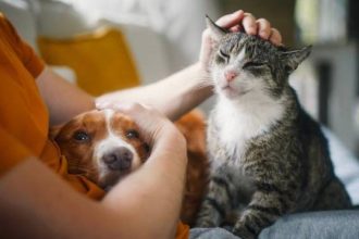 Quiz: Ανακαλύψτε ποιο pet σας ταιριάζει