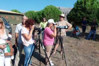 Ξενάγηση στη λιμνοθάλασσα Κοτυχίου και στο Δάσος Στροφυλιάς