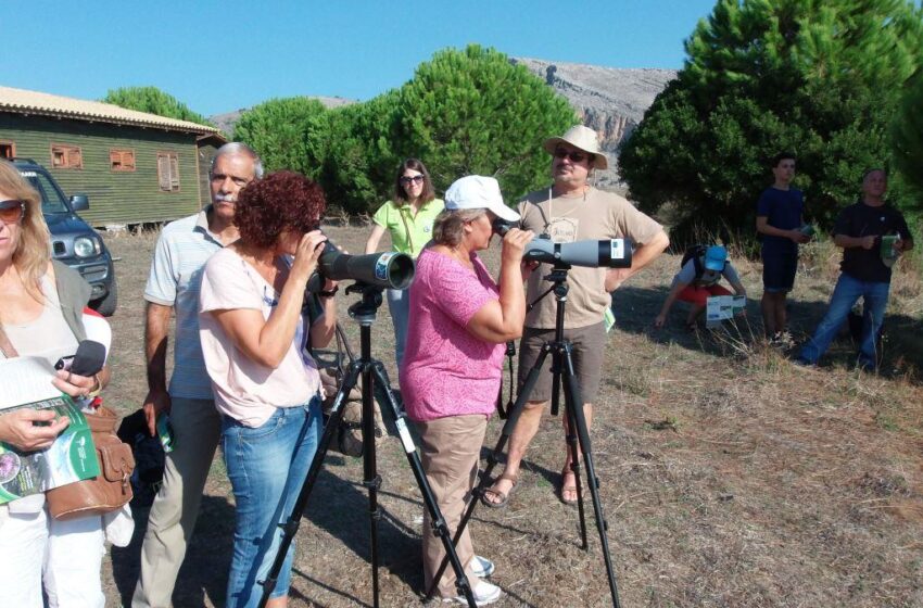 Ξενάγηση στη λιμνοθάλασσα Κοτυχίου και στο Δάσος Στροφυλιάς