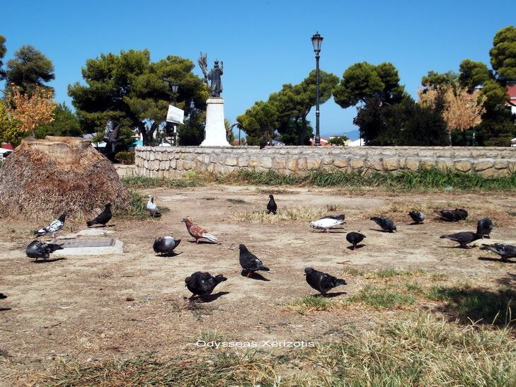 Πάτρα: Ανάπλαση στην Ακτή Δυμαίων, εγκατάλειψη στα Ψηλά Αλώνια - ΦΩΤΟΓΡΑΦΙΕΣ