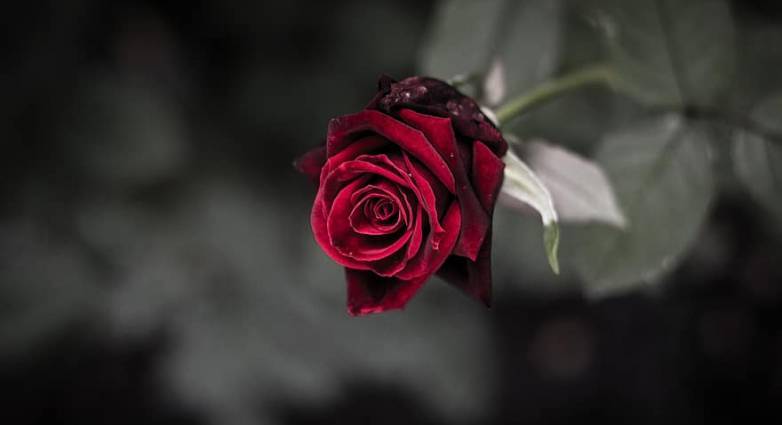 Συλλυπητήρια του Δημάρχου για Καλύβα - Αποστόλου