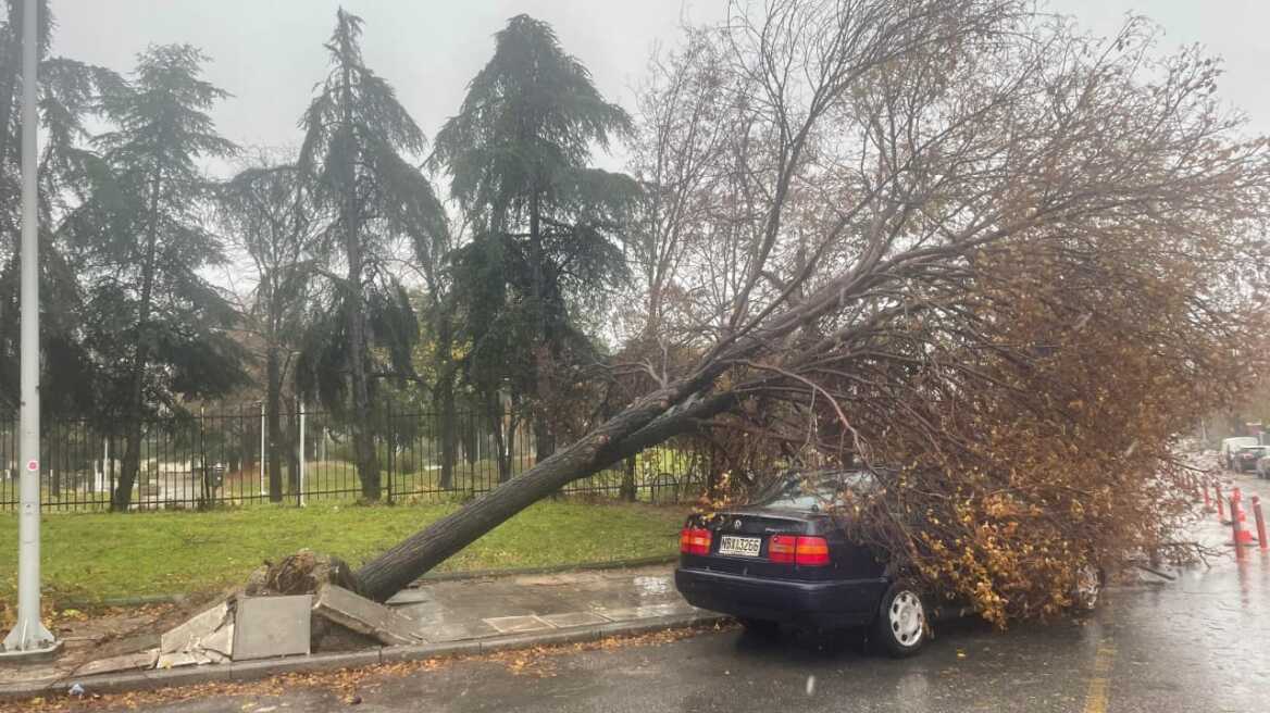 Νέο έκτακτο δελτίο καιρού για την "Bora" με ακραία φαινόμενα - Πού θα κλείσουν σχολεία - Πότε θα υποχωρήσει