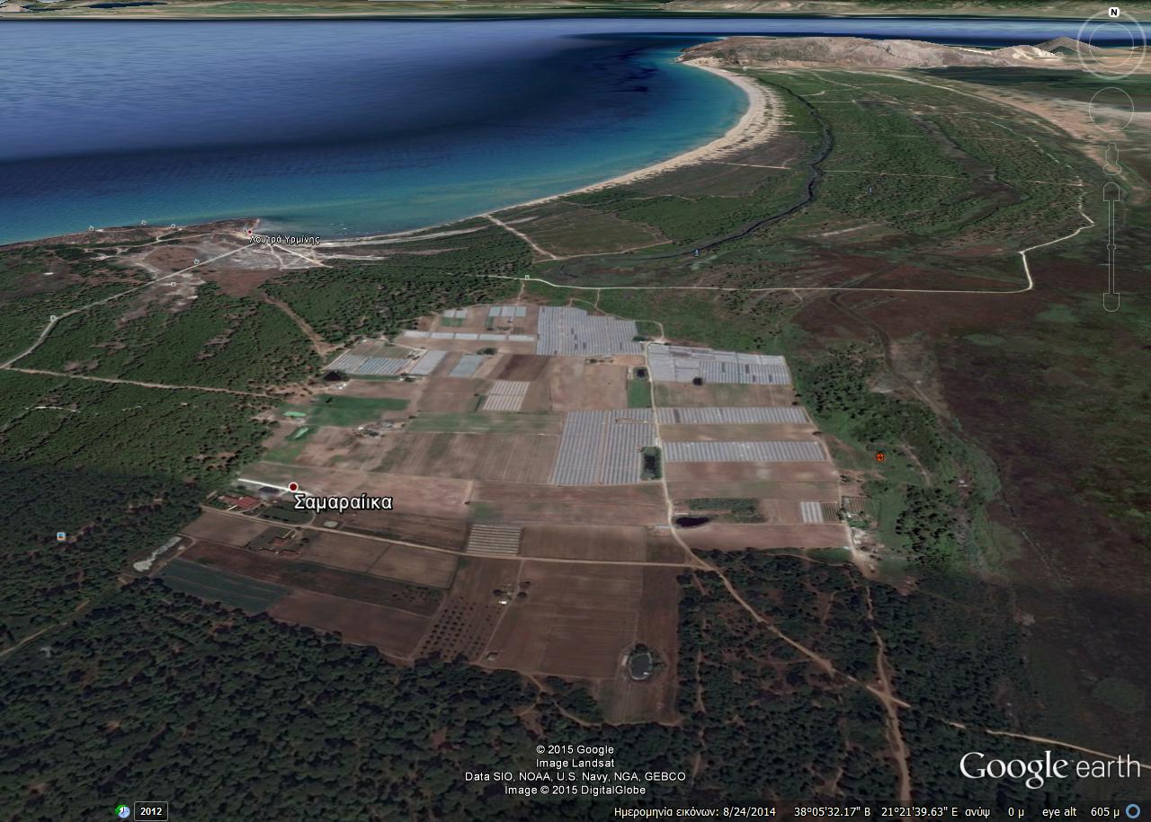 ΟΙΚΙΠΑ για Σαμαρέικα: "803 στρέμματα δασικής αναδασωτέας έκτασης παραμένουν στα χέρια των καταπατητών τους"