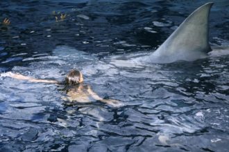 Οι κινηματογραφικές προβολές σήμερα 24 Ιουλίου