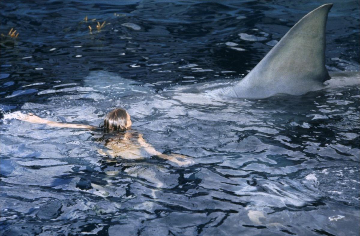 Οι κινηματογραφικές προβολές σήμερα 24 Ιουλίου