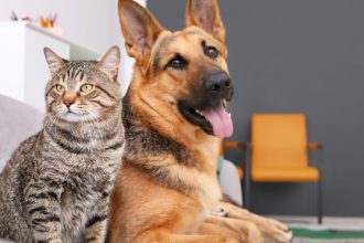 Πόσο ασφαλής είναι η παρακεταμόλη για τους σκύλους και τις γάτες - Τι πρέπει να προσέξετε