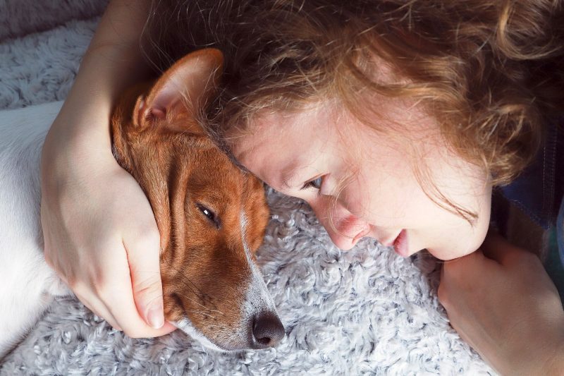 Δείτε τι μπορεί να ονειρεύεται ένας σκύλος που κλαίει στον ύπνο του