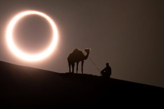 Πώς αντιδρούν τα ζώα σε μια ολική έκλειψη ηλίου