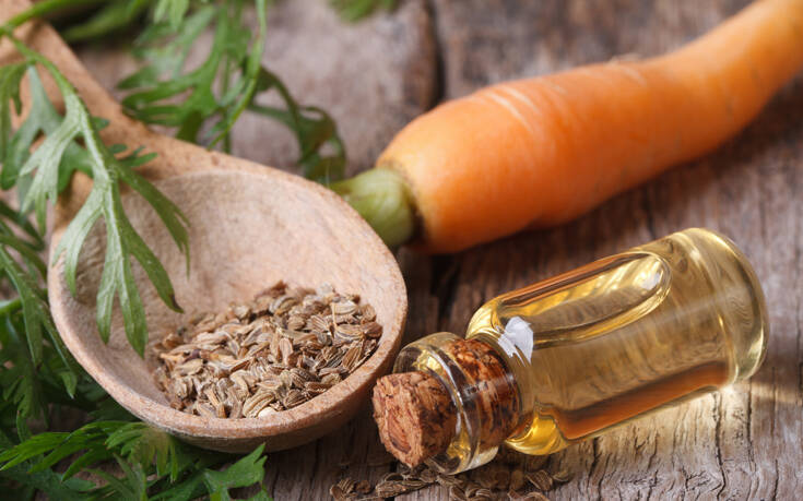 Έλαιο καρότου: ο νέος «ήρωας» για την περιποίηση της επιδερμίδας σας