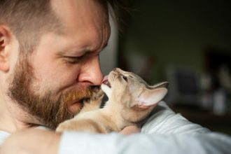 Γάτες και άνδρες: οι γατομπαμπάδες ήρθαν για να μείνουν