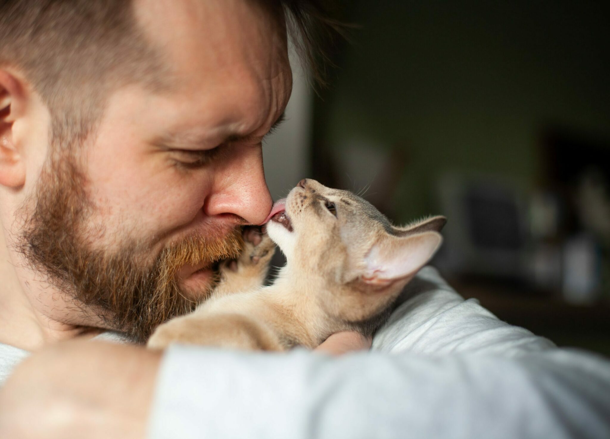Γάτες και άνδρες: οι γατομπαμπάδες ήρθαν για να μείνουν