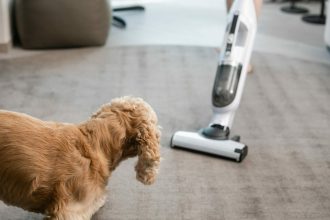 Τι να κάνετε για να μη φοβάται το κατοικίδιό σας την ηλεκτρική σκούπα