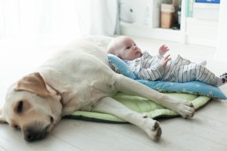 Τι λένε οι επιστήμονες για τη συνείδηση των μωρών και των ζώων