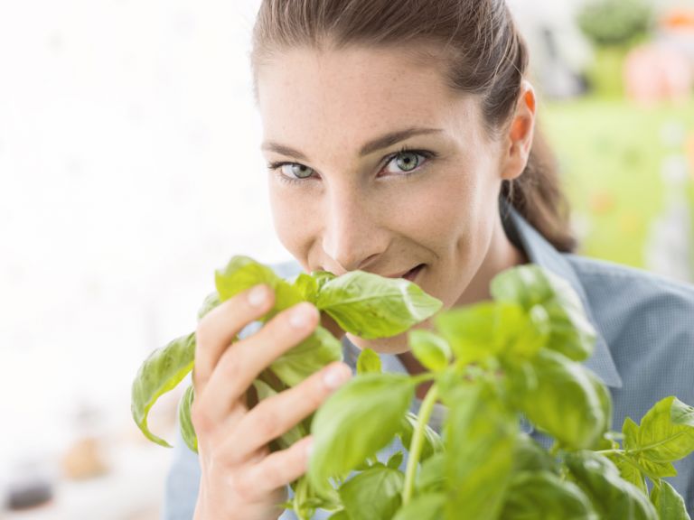 Βασιλικός: Τα απίστευτα οφέλη για τον οργανισμό