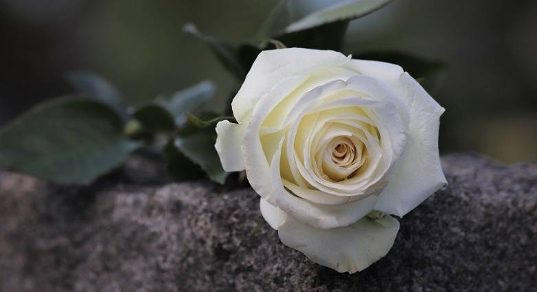 Κηδεύονται το Σάββατο