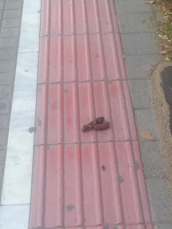 Πάτρα: "Με τις υγείες μας..." Μήνυμα Κατσικόπουλου προς τους "φιλόζωους" - ΦΩΤΟΓΡΑΦΙΕΣ