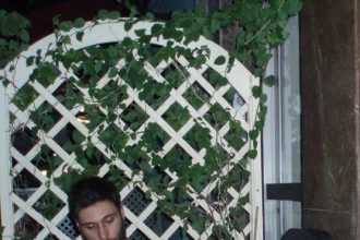 Πάτρα: Το "σούσουρο" υποδέχεται τον Χειμώνα με μουσική !