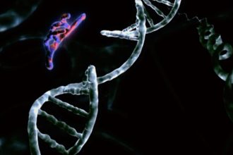 DNA για σούπερ ήρωες