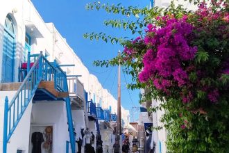 Προτάσεις της Κοινο_Τοπίας για προγραμματισμένα συναπαντήματα