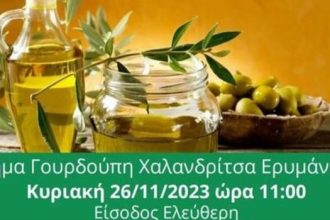 «Ελιά και μεσογειακή διατροφή»: Εκδήλωση στην Χαλανδρίτσα από το Αχαϊκό Εργαστήρι Πολιτισμού και Παράδοσης