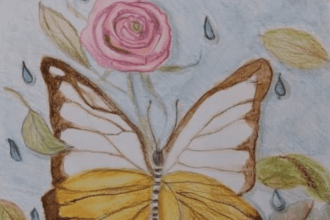 Βραβείο για το Δημοτικό Σχολείο Ρίου