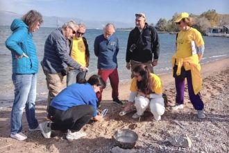 Οικολογική Κίνηση Πάτρας: Το μεγάλο κυνήγι των μικροπλαστικών