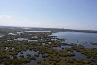 To tempo24.gr στο δελτίο ειδήσεων του Star - ΔΕΙΤΕ ΤΟ ΒΙΝΤΕΟ