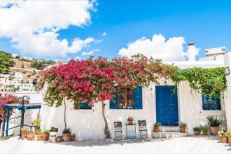 Τέλος οι… γόπες στην Πάρο!