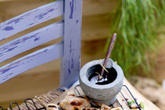 Σουβλάκια κοτόπουλο τεριγιάκι