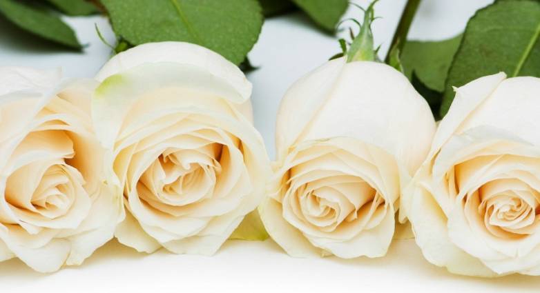 Αχαΐα: Η Ν.Δ. αποχαιρετά τον Άγγελο Καυγά