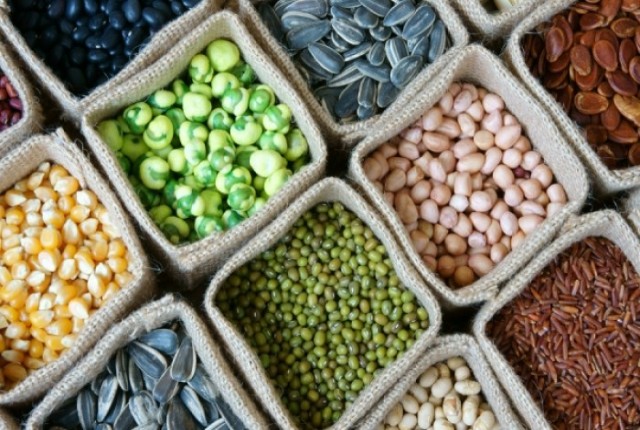 Οι φυτικές ίνες ασπίδα κατά της πνευμονικής νόσου