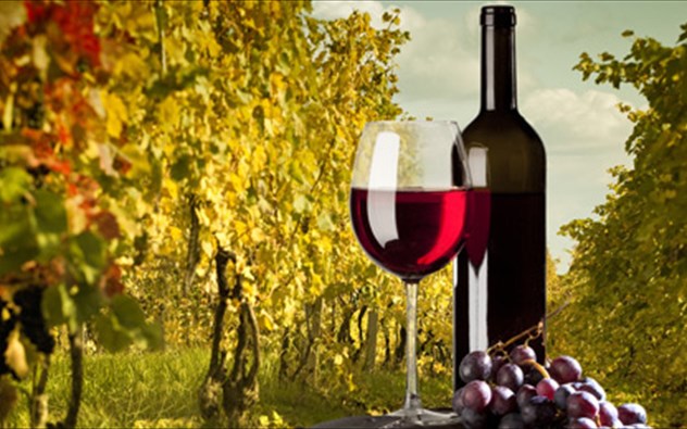 Αίγιο: Σήμερα Δευτέρα το 2ο δωρεάν σεμινάριο εστίασης και οινοχοΐας