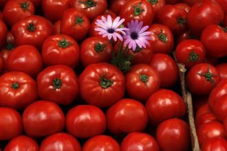 Γνωρίστε τη θρεπτική αξία της ντομάτας