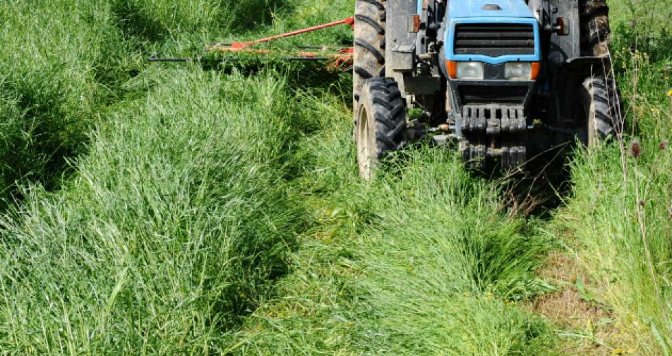 Τραγωδία στη Λευκάδα: «Ο πατέρας πήρε τον 4χρονο με το τρακτέρ για να βγει από το σπίτι – Αντιμετώπιζε προβλήματα οράσεως»