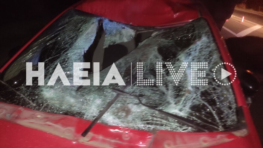 Πύργος: Σοβαρό τροχαίο τα ξημερώματα - Σκοτώθηκε άλογο, γλίτωσε ο οδηγός (ΦΩΤΟ)