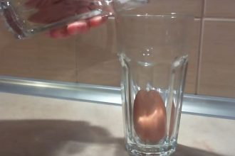 Δείτε τι θα συμβεί αν βάλετε ένα αυγό σε ξίδι - ΒΙΝΤΕΟ