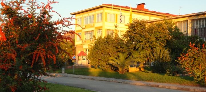 Πανεπιστήμιο Πατρών: Λειτουργεί ιστότοπος αποφοίτων – alumni