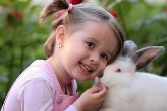 Αυτά είναι τα κατοικίδια που θα αγαπήσουν τα παιδιά!