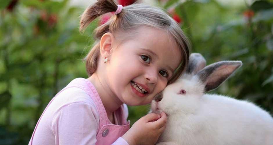 Αυτά είναι τα κατοικίδια που θα αγαπήσουν τα παιδιά!