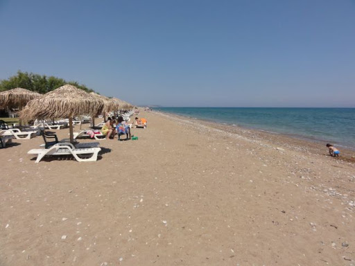 Κάτω Αχαϊα: Εθελοντικός καθαρισμός της παραλίας